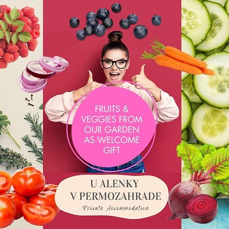 U Alenky Na Zahrade Bed & Breakfast Smizany Bagian luar foto