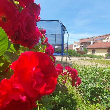 U Alenky Na Zahrade Bed & Breakfast Smizany Bagian luar foto