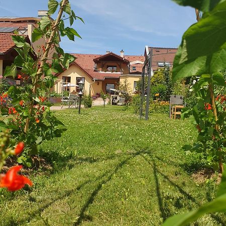 U Alenky Na Zahrade Bed & Breakfast Smizany Bagian luar foto