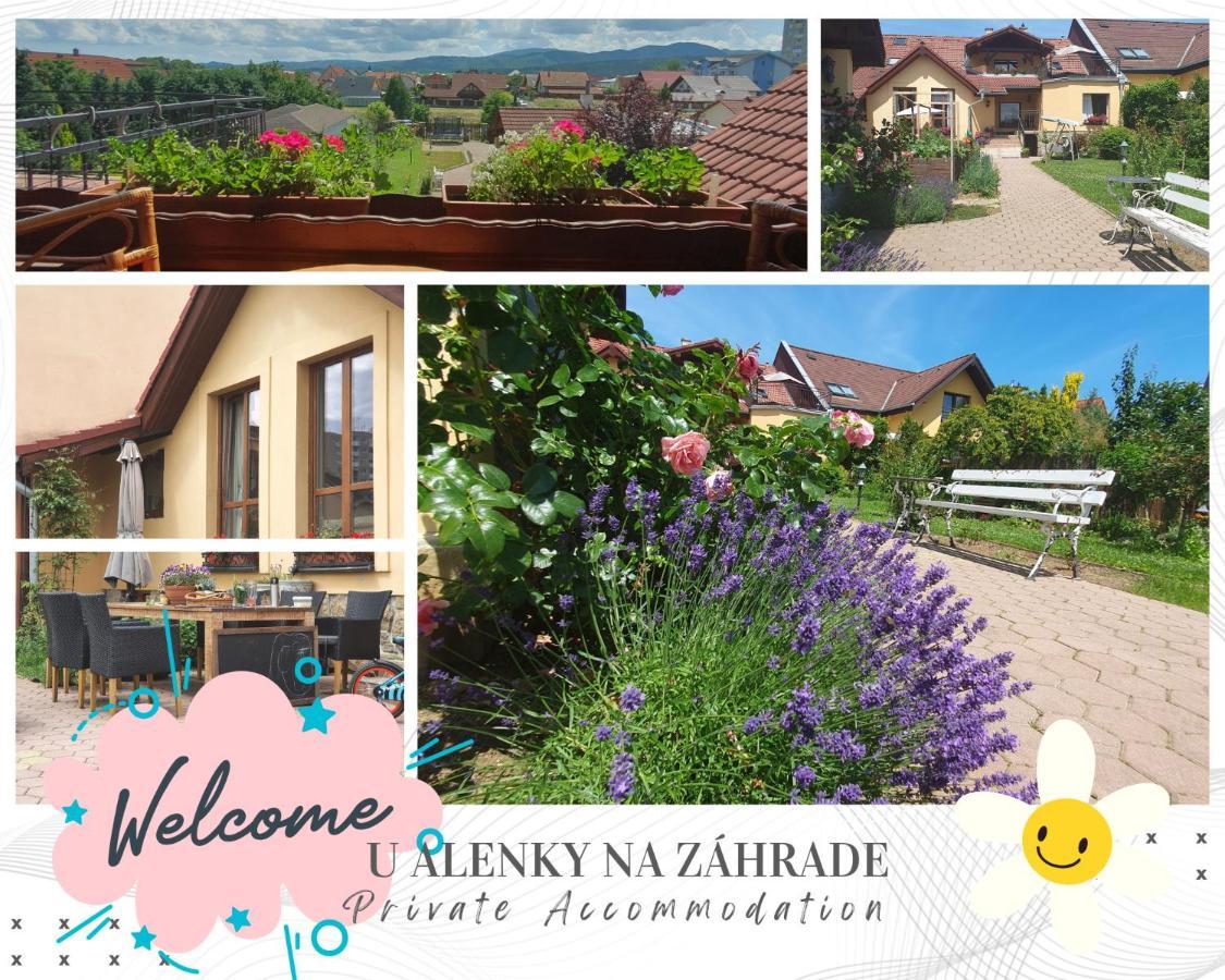 U Alenky Na Zahrade Bed & Breakfast Smizany Bagian luar foto