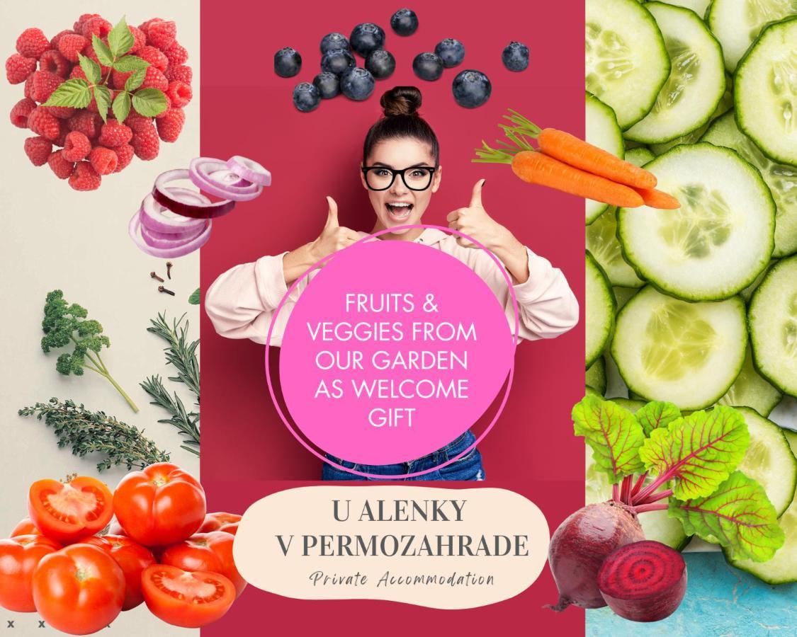 U Alenky Na Zahrade Bed & Breakfast Smizany Bagian luar foto