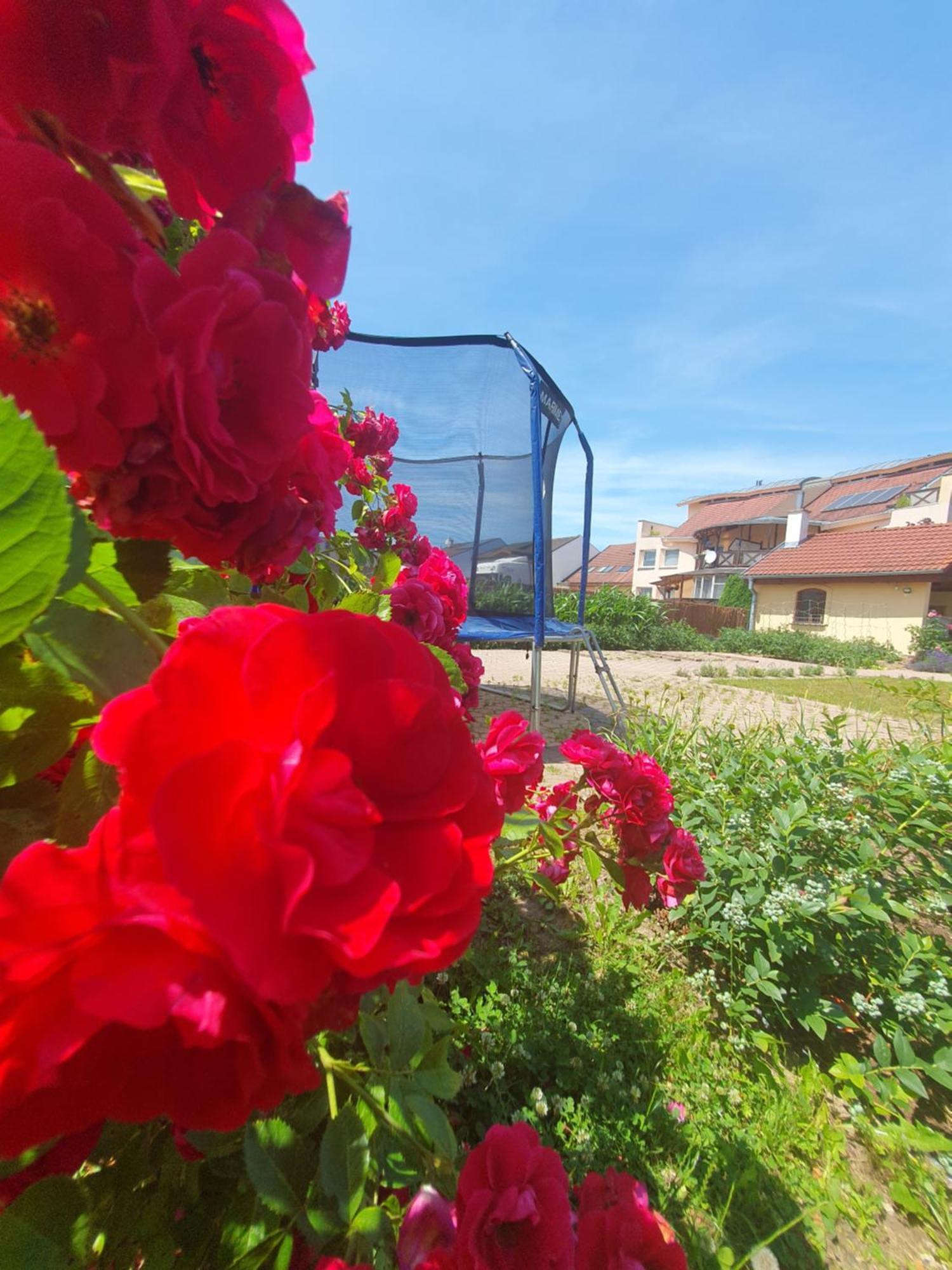 U Alenky Na Zahrade Bed & Breakfast Smizany Bagian luar foto