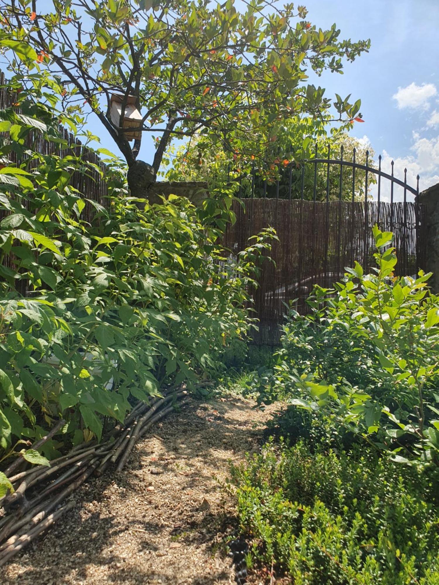 U Alenky Na Zahrade Bed & Breakfast Smizany Bagian luar foto