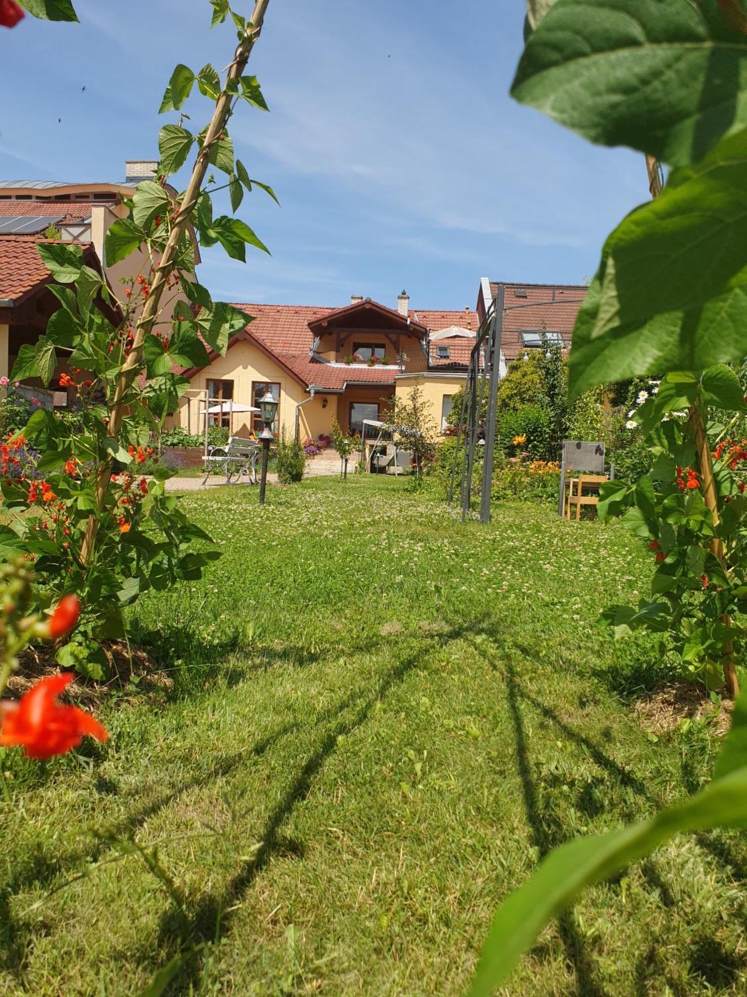 U Alenky Na Zahrade Bed & Breakfast Smizany Bagian luar foto